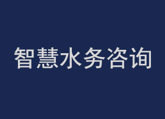 智慧水務咨詢